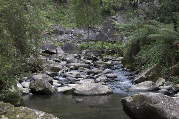 Stevenson Falls