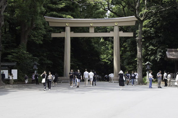Tokyo - Yoyokipark