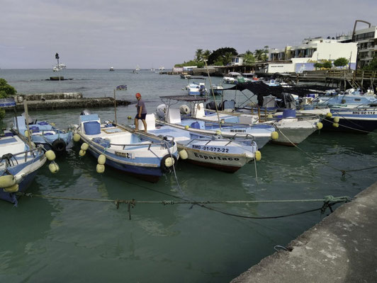 Puerto Ayora - haven