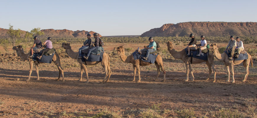 Alice Springs - kameelrit