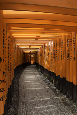 Kyoto - Inari