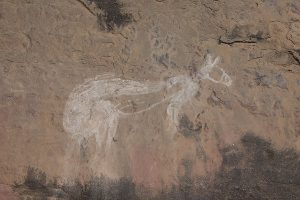 Nourangi - rotstekening