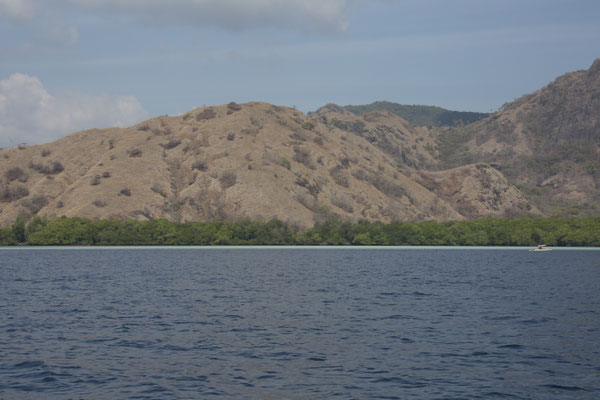 Rinca - het eiland