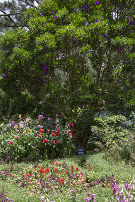 Da Lat - Trúc Lâm kloostertuin