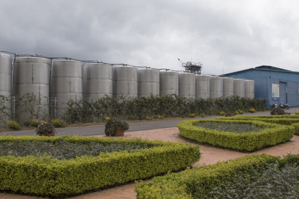 Chateau Da Lat Ladora winery