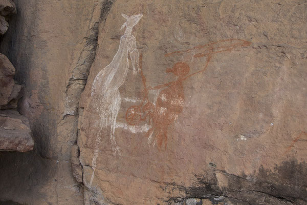 Nourangi - rotstekening