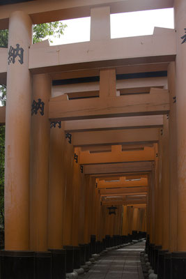 Kyoto - Inari