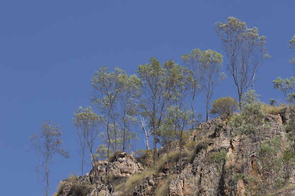 Nitmiluk - landschap