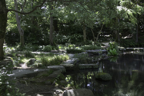 Kanazawa - Kenrokuen garden