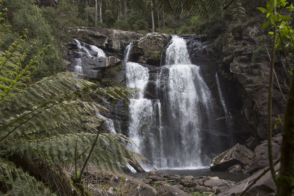 Stevenson Falls