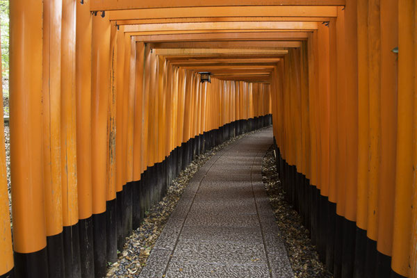 Kyoto - Inari