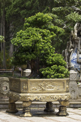 Da Lat - Trúc Lâm klooster