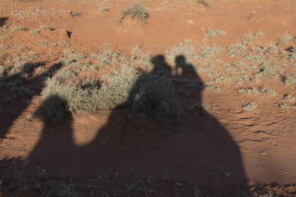 Alice Springs - kameelrit