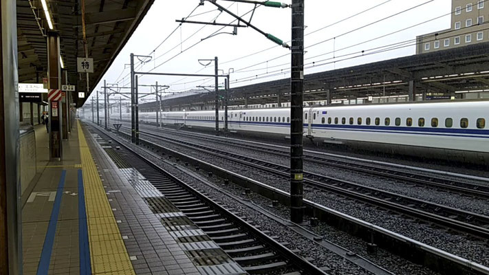 Terug naar Tokyo