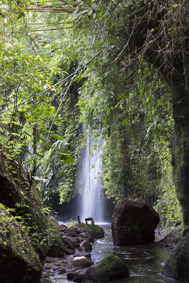 Tukad Cepung waterval