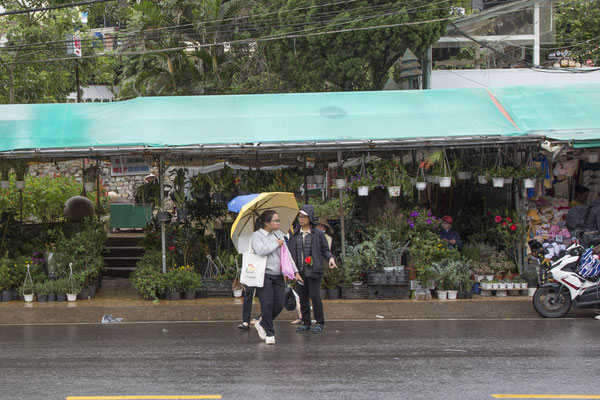 Da Lat markt
