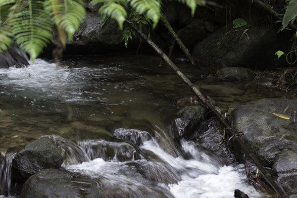 Landschap Talamanca reserve