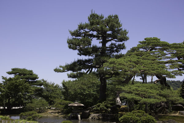 Kanazawa - Kenrokuen garden
