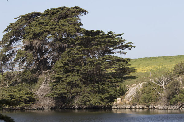 River walk - landschap