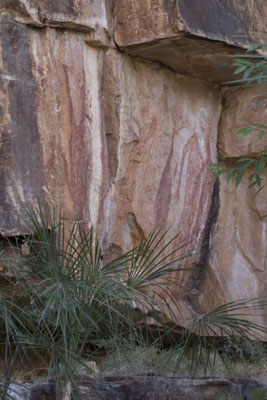 Nitmiluk - rotstekening