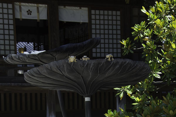 Kanazawa - Kenrokuen garden
