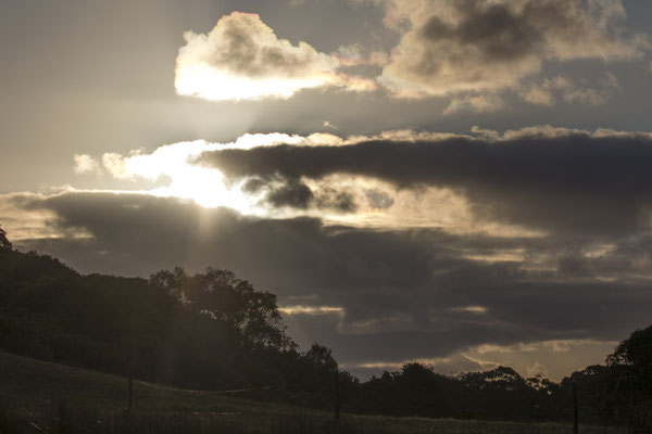 NP Great Otway - landschap