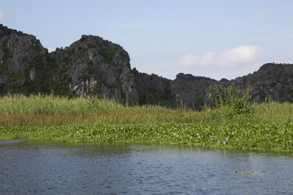 Van Long reserve