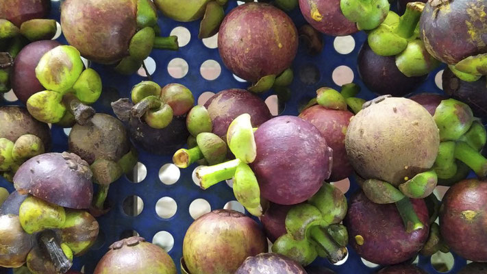 Mangosteen geegeten onderweg naar HCMC