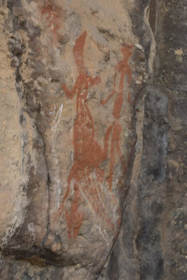 Nourangi - rotstekening