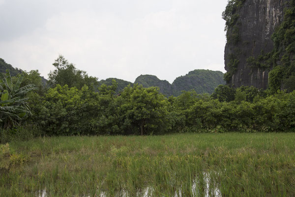 Tam Coc