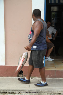 2012 Kuba