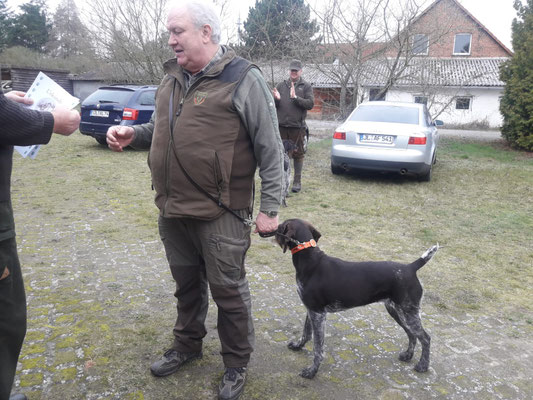 Bonny II vom Eichenloh mit dem Führer Hans-Werner Hauer