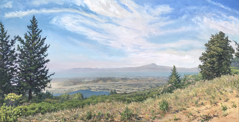 View of San Mateo 24x48" oil.linen 2019