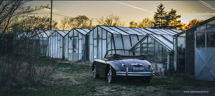 Jaguar XK150 (c) GerhardKodymPhotography