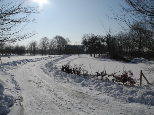 Im Winter