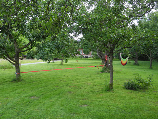 Der Garten