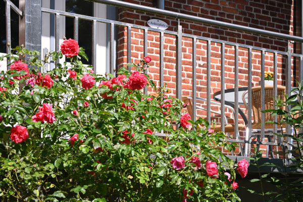 Balkon im Hochparterre