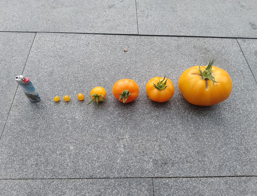 kunst und handwerk - garms und gar