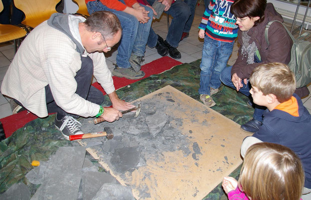 Fossiliensuche im Posidonienschiefer