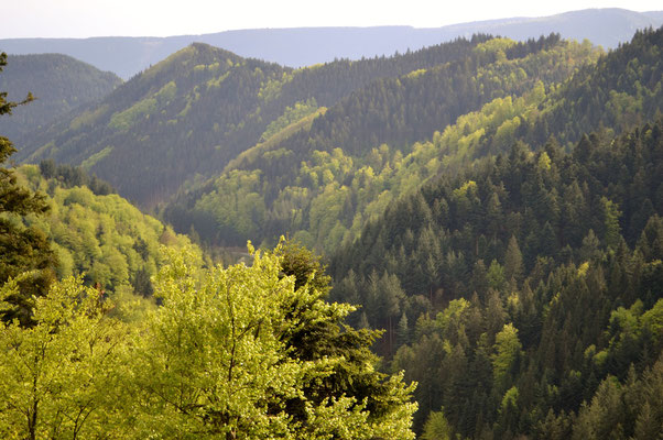 Wo sind den die Wasserfälle?