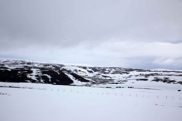 Schnee Wüste