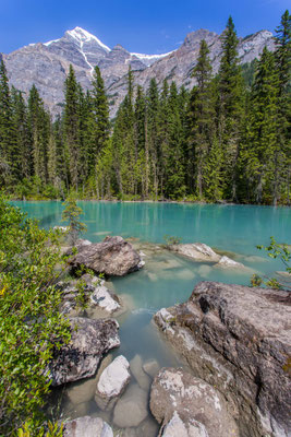 am Kinney Lake Trail