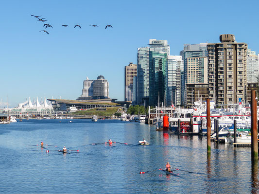 Coal Harbour