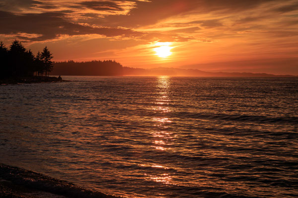 an der Nordküste von Vancouver Island