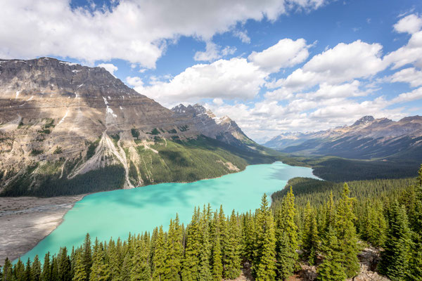 Peyto Lake und Bow Valley