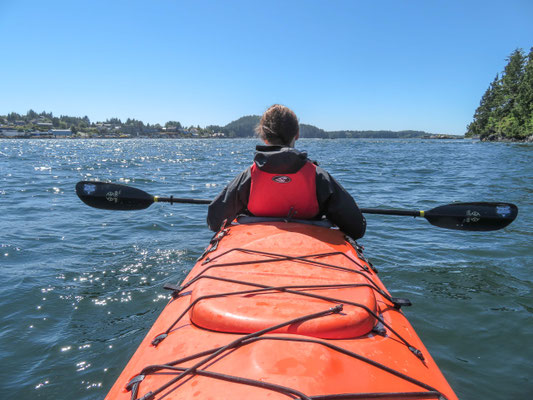 Tofino Sea Kayaking