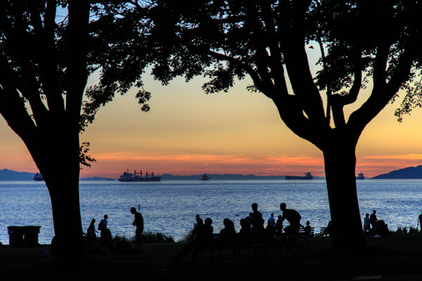 Seawall Path