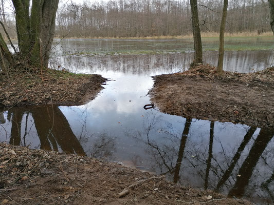 Verbinding tussen Wilgenbroek/Hoek en Zompewei (4).