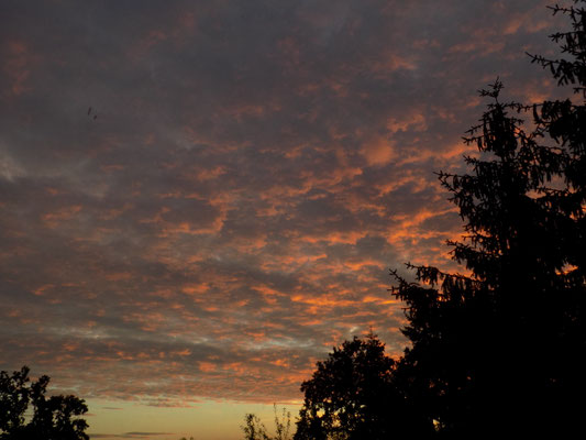 Pinke Abendwolken in Unterfürberg (Fürth) am 29. Juli 2018