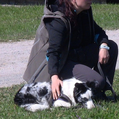 Foto: cumcane familiari